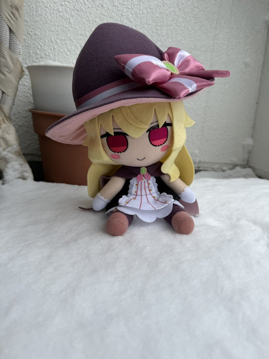 にゃすい (@nyasw) on Twitter photo 