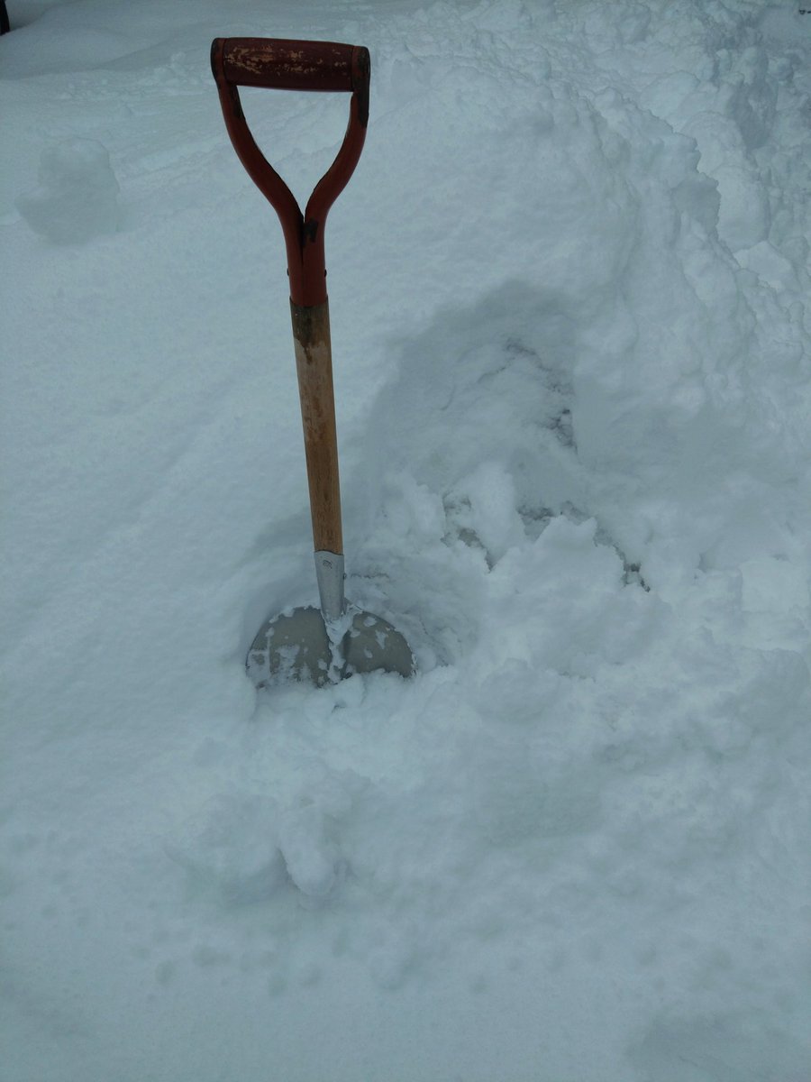 こんな雪の中、高齢者や身体の不自由な方が、どうやって選挙に行けと？
