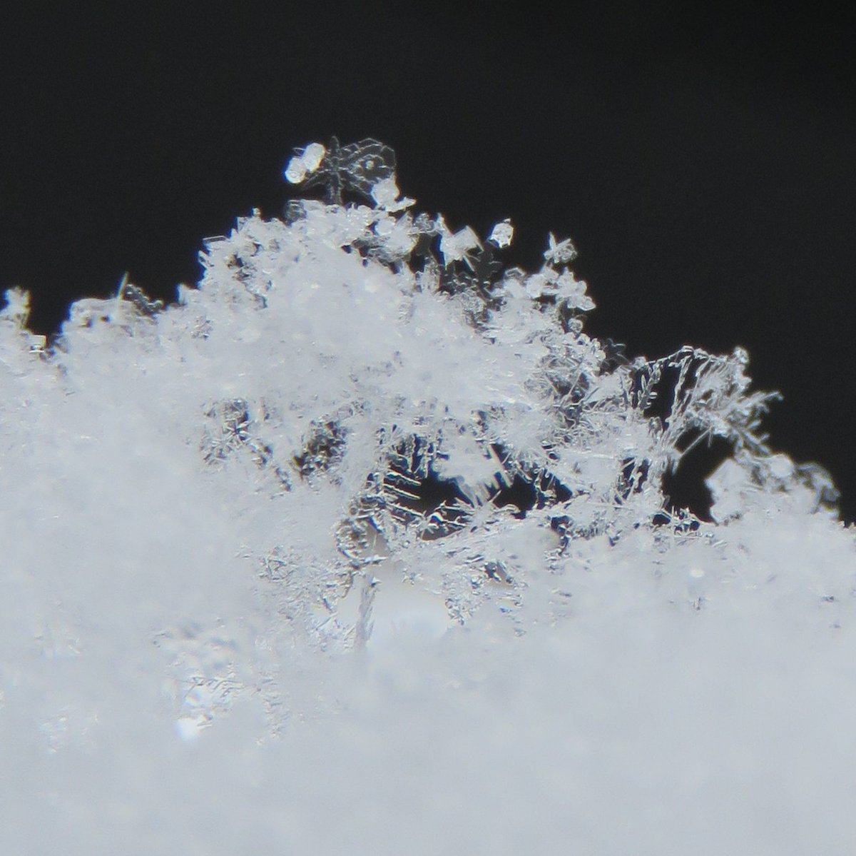 666CONNECTION tweet media