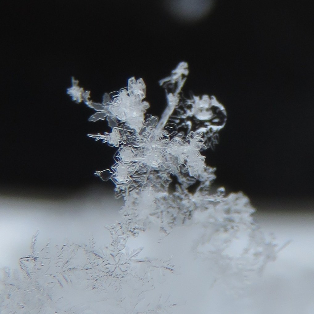 666CONNECTION tweet media