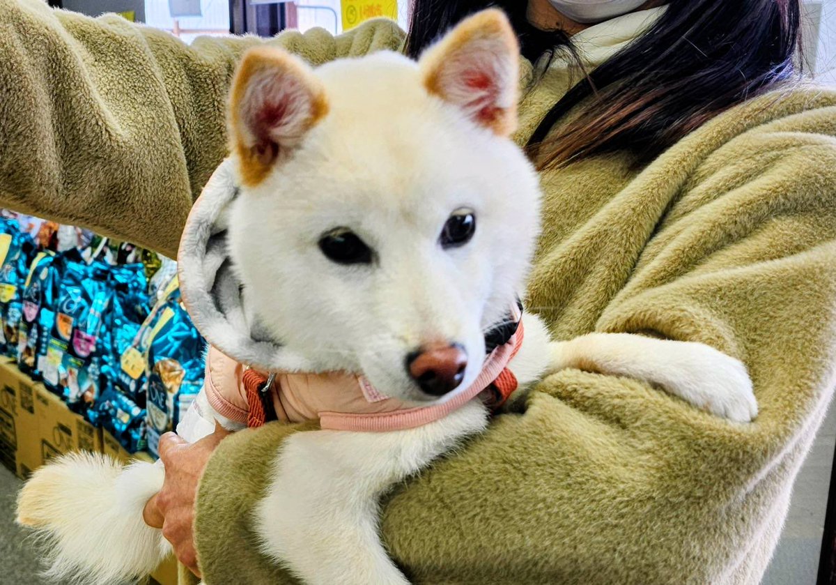 ポコちゃん💕
ご来店ありがとうございました☺️