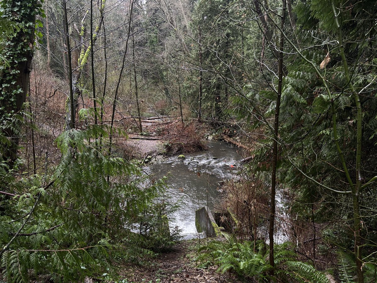 Drrawable's tweet photo. Photos from my walk today. So rainy and peaceful ^_^ https://t.co/BAloMArr5p