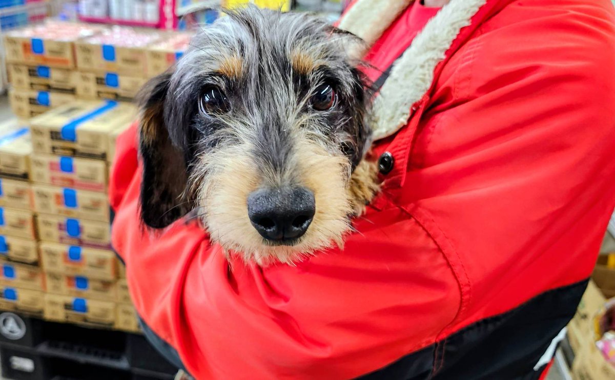 サスケくん💕
ご来店ありがとうございました☺️