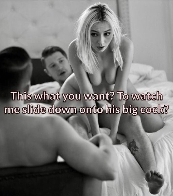 🔴 Wife material 🔞 tweet media