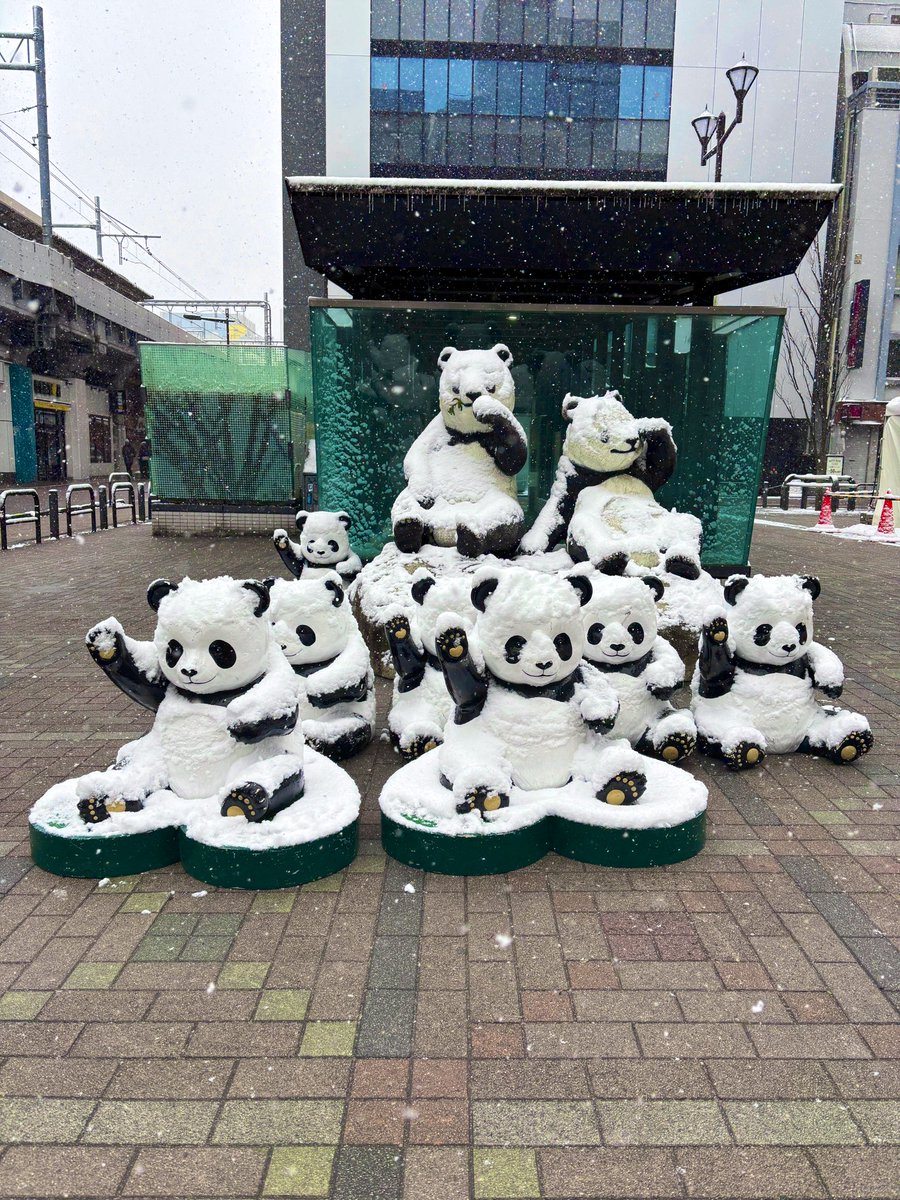 上野案内所 UENO Information Center【公式】 (@UENO_Info) / Posts