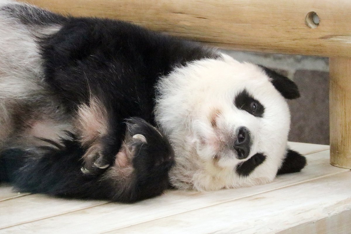 ゆかたん (@yu_ka7493) / Posts / X