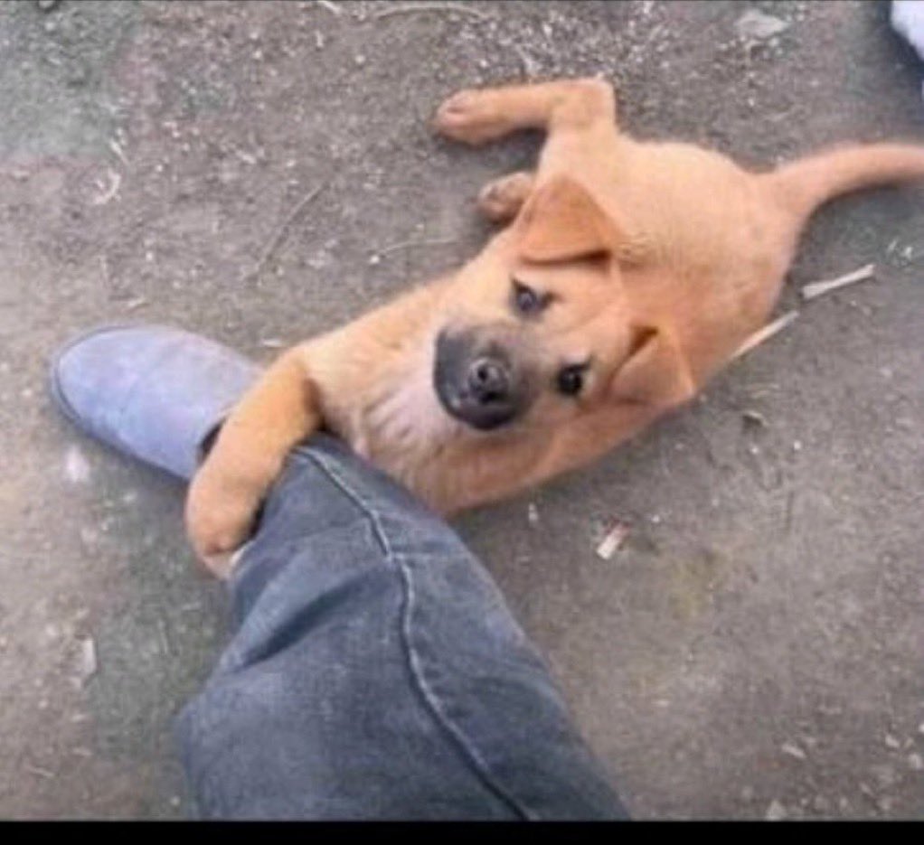 Clout_Chaser100's tweet image. Day 17: Silence is how some people protect their peace.