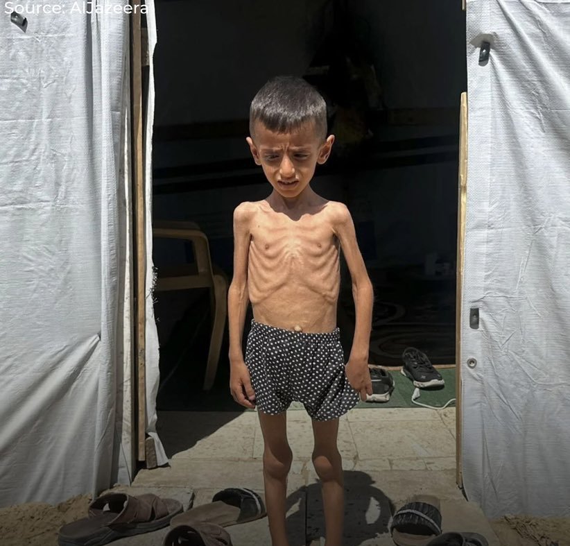 yousefQasem1998's tweet image. If you’re scrolling, PLEASE leave a dot . it's just a dot .

chuffed.org/project/154635…