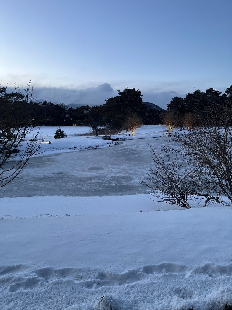 川合慶 tweet media