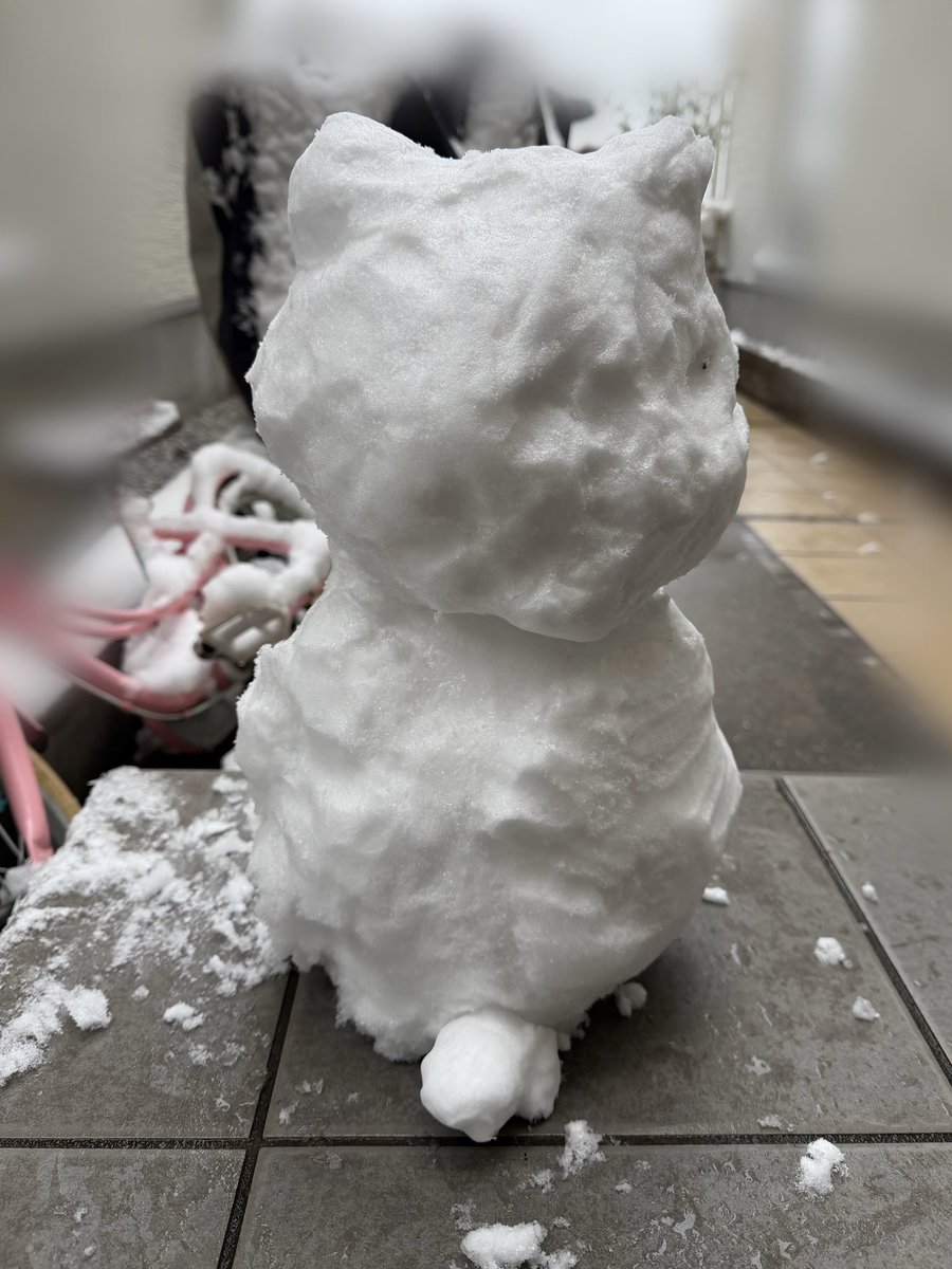 Sumimaru0906's tweet photo. 雪たくさん降りましたね〜！
久しぶりにこんなに降った気がする。

猫の雪だるま作りました⛄️
パパに見せたら尻尾つけてくれました🐈
かわいい☺️ https://t.co/lfH079AYUA