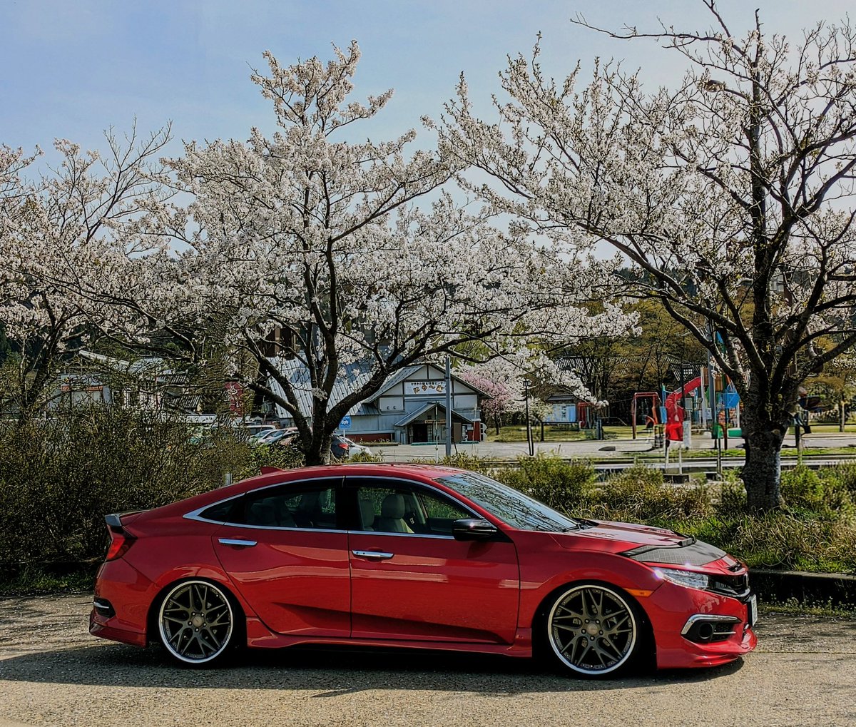 #寒いので桜の画像でTLを埋めよう