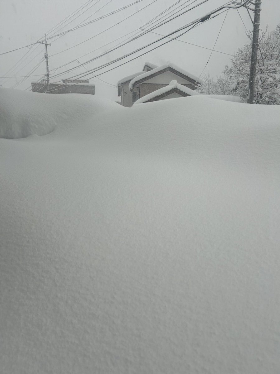 りょう tweet media