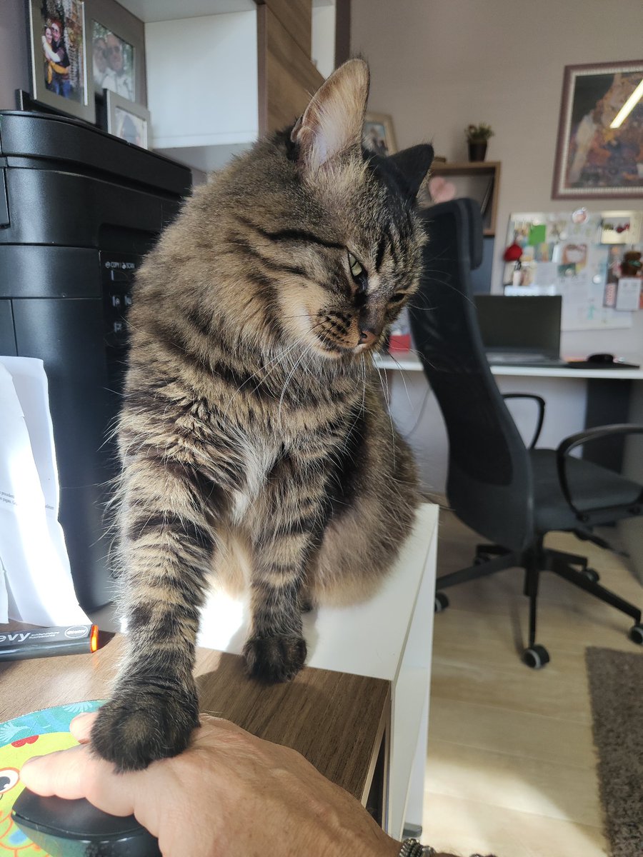 N_i_c_o_la's tweet image. Non si lavora di domenica.
#marla