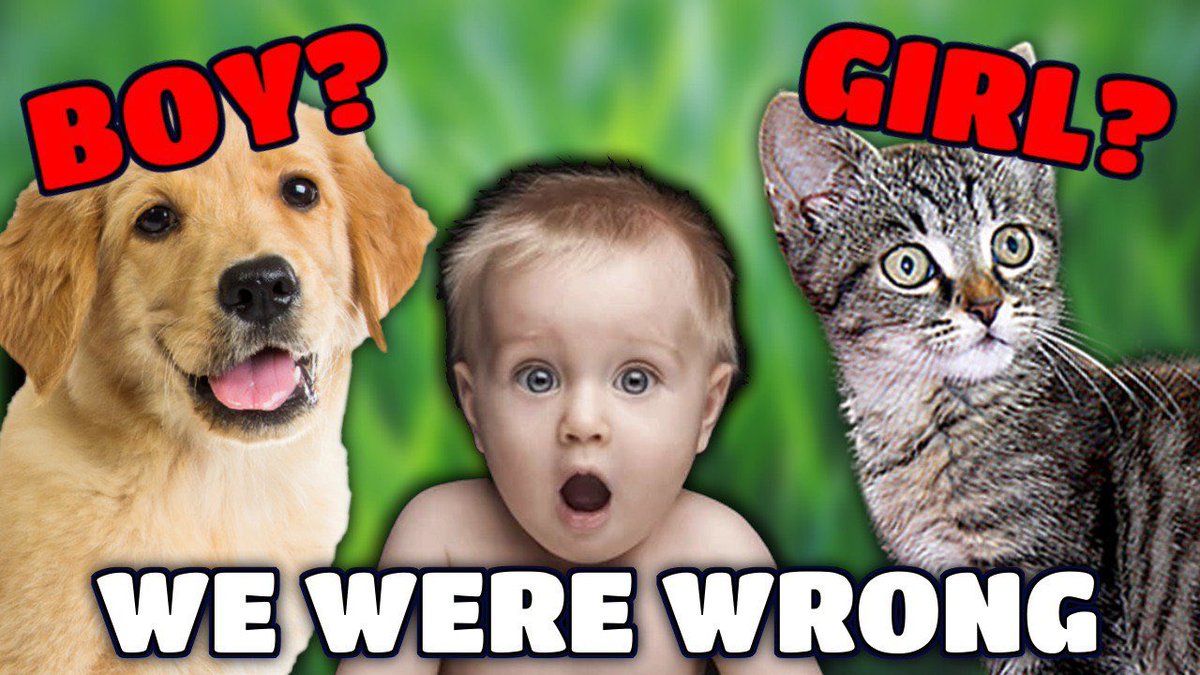 olive ˖ ᡣ𐭩 ⊹ ࣪ ౨ৎ˚₊ tweet media