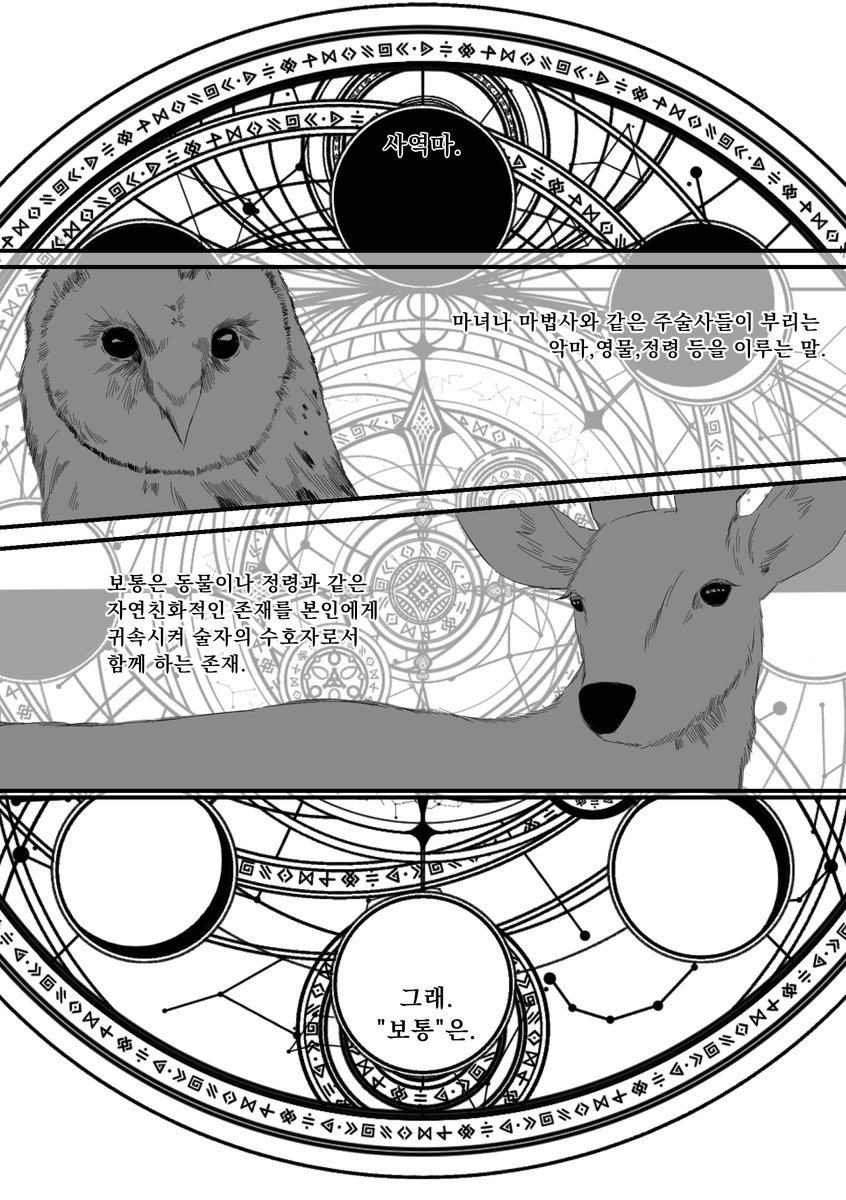 차차홍 tweet media