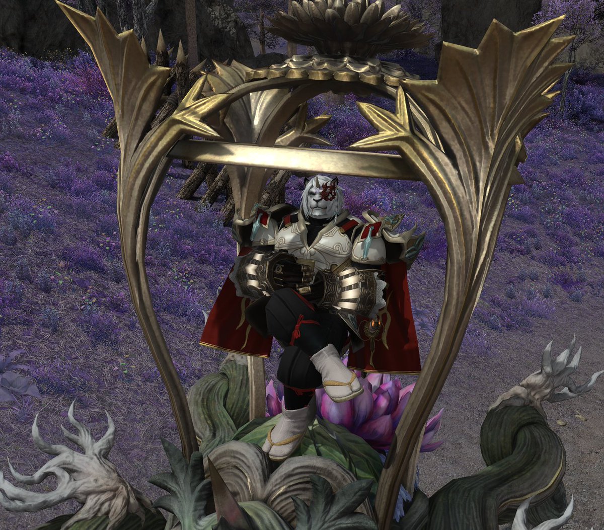 scbsdcfcfv tweet media