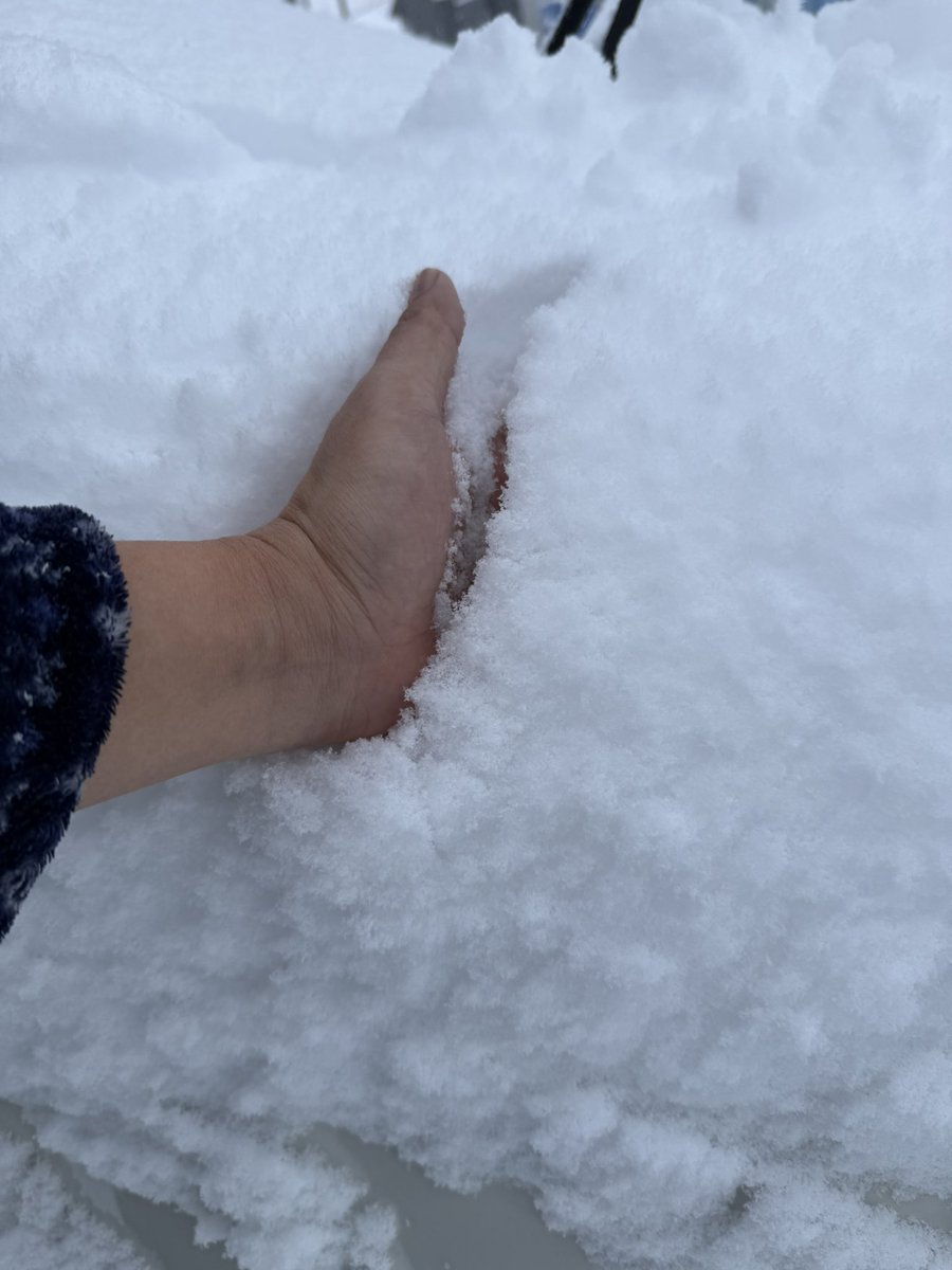 PokemonGO0319's tweet photo. 西条の雪がすごい
ここ数年で一番積もってる https://t.co/CPNCshX53K