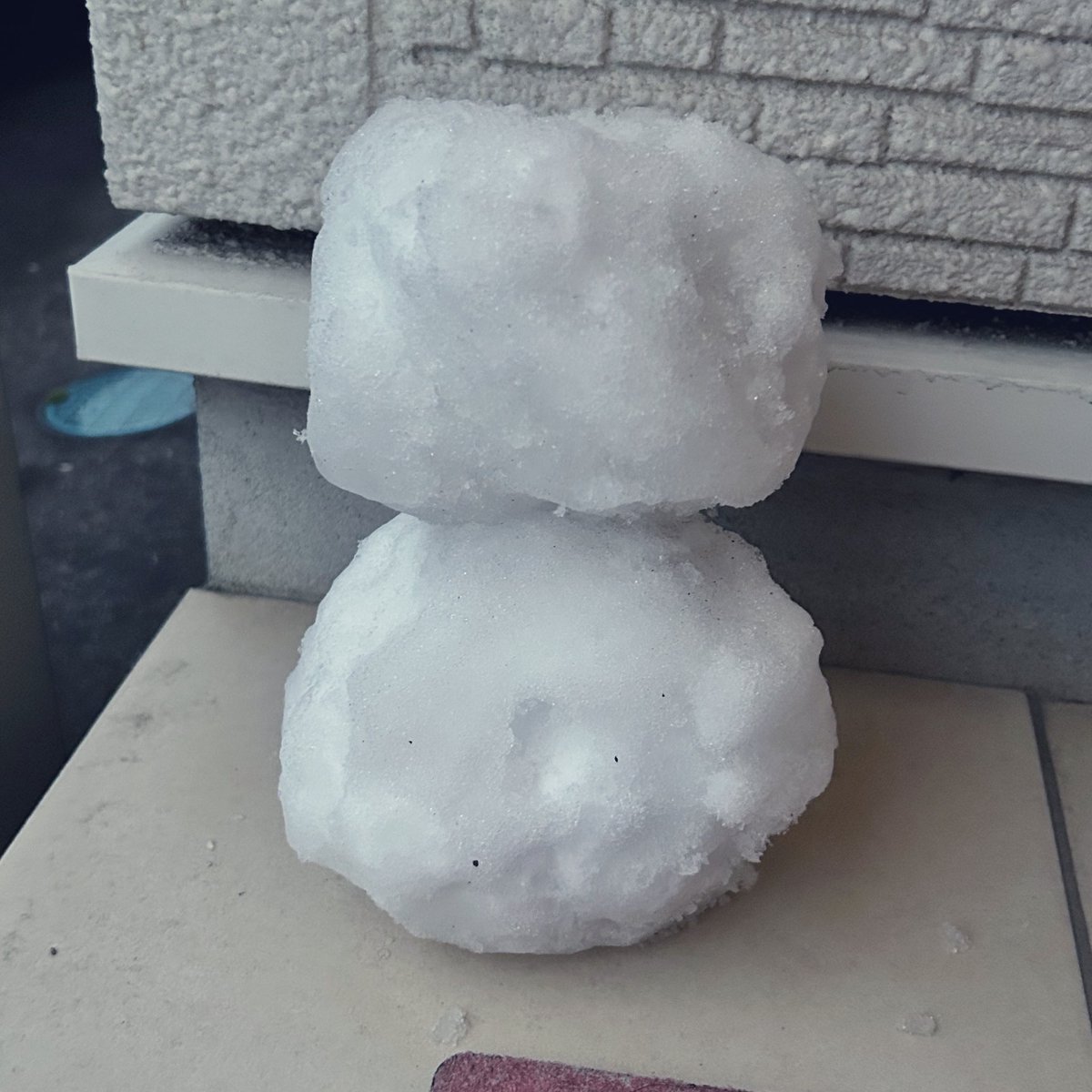 今回の雪の成果❄️