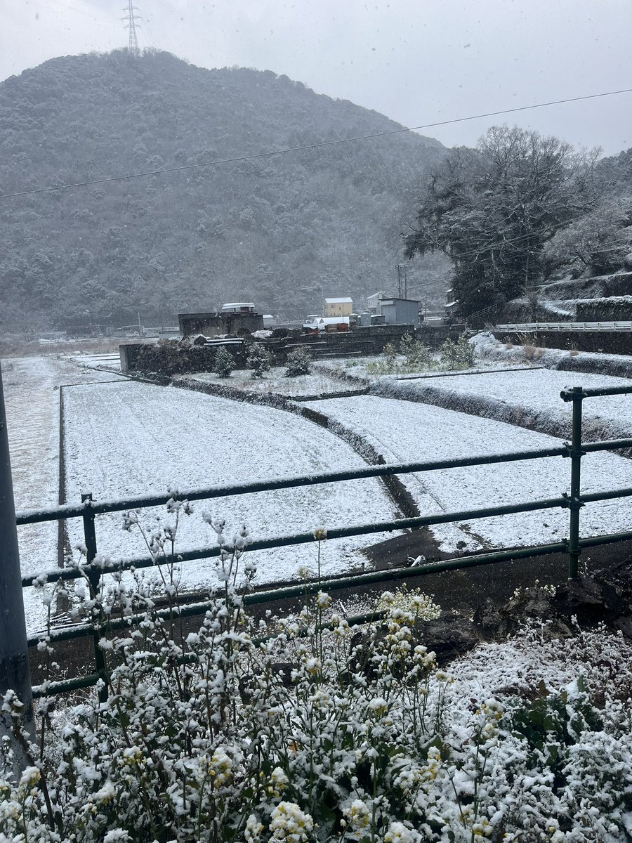 としまる tweet media