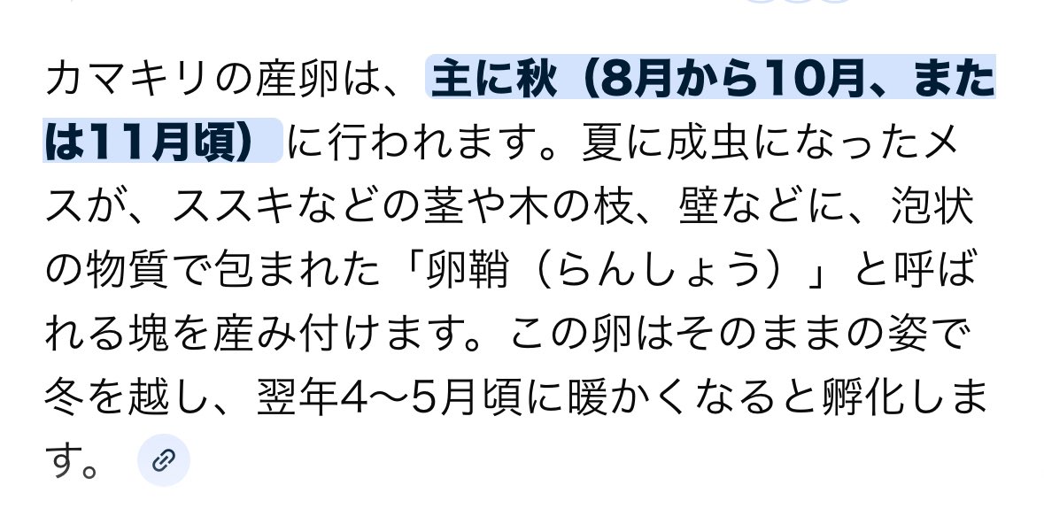 UMA_urusaiyo's tweet photo. https://t.co/gFm2iN4ILO
