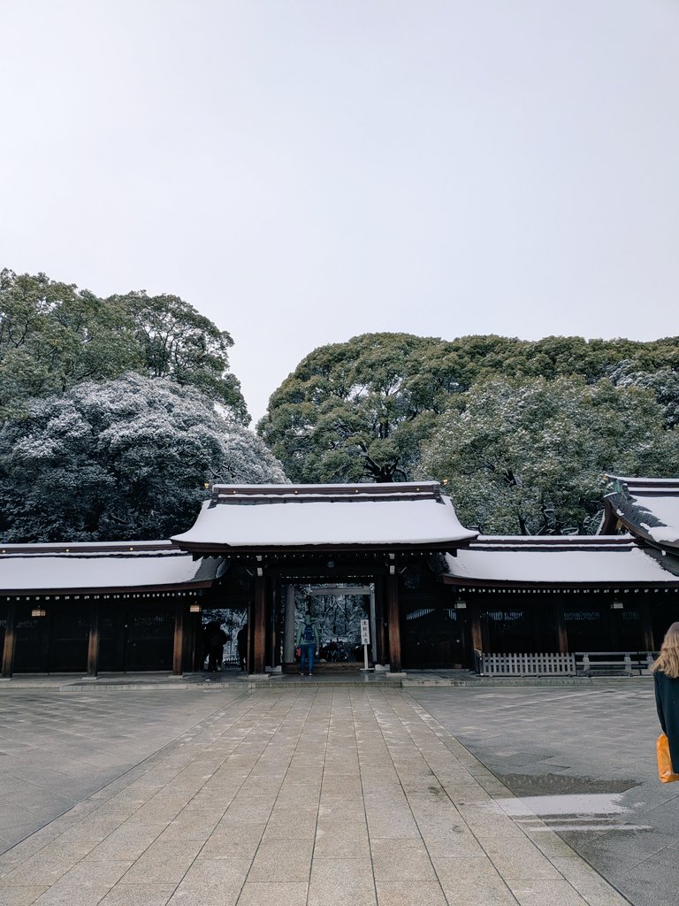r42156008's tweet photo. A silent sanctuary in the heart of Tokyo. ❄️⛩️
​Meiji Jingu looks absolutely breathtaking wrapped in white. The snowy forest path makes you forget you’re even in the city. A rare and magical winter moment. ✨
​#MeijiJingu #TokyoSnow #JapanWinter #WinterWonderland https://t.co/HEX9uir1W3