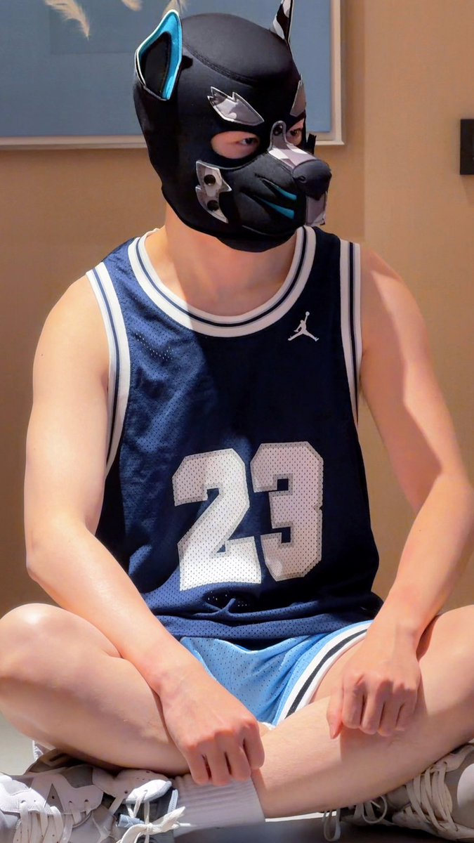 柯基同学 tweet media