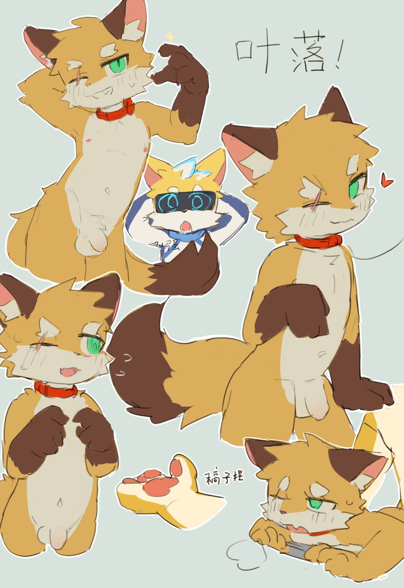 好久没摸怪东西了