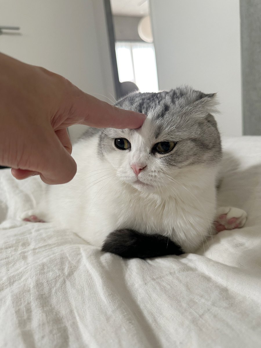つん👈
