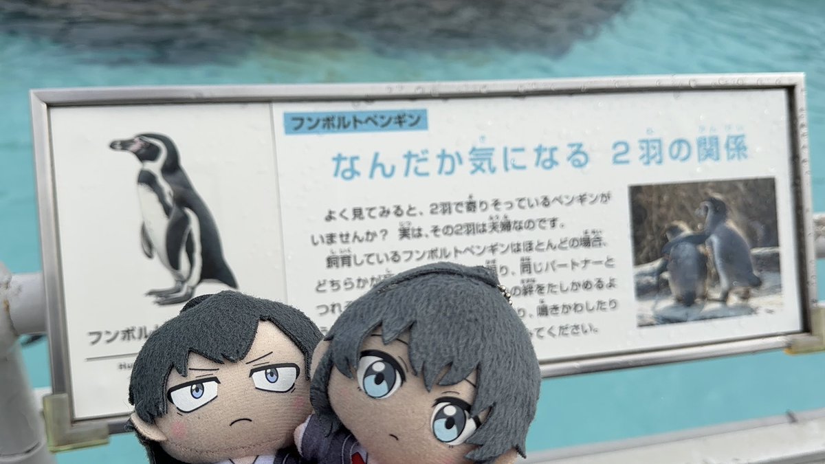 ふたりが一生を添い遂げる未来を見届ける #俺ガイル