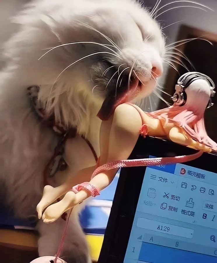 Aymory ⚡️ tweet media