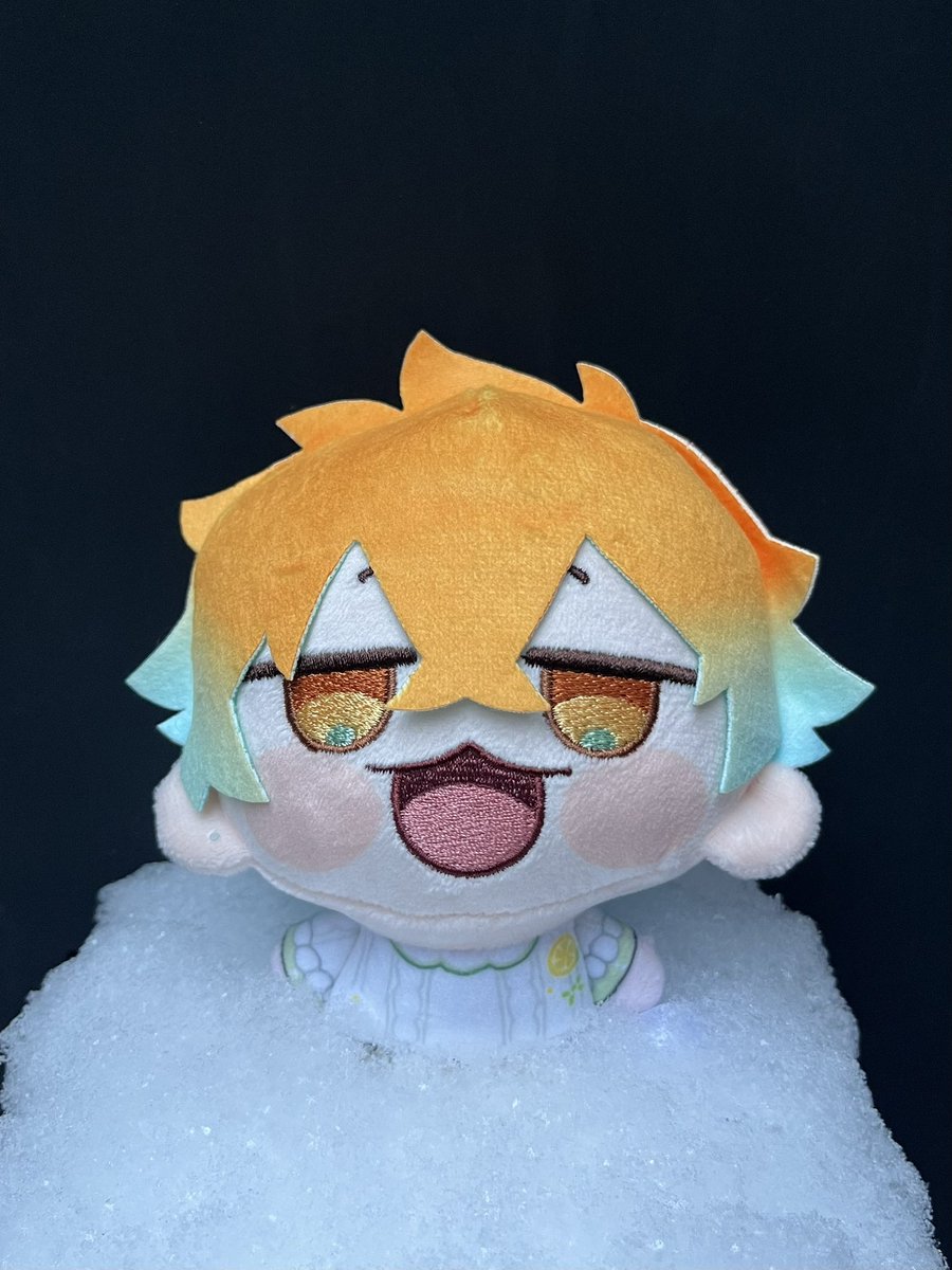 雪の中全然寒くなさそうな子をお迎えしました❄️