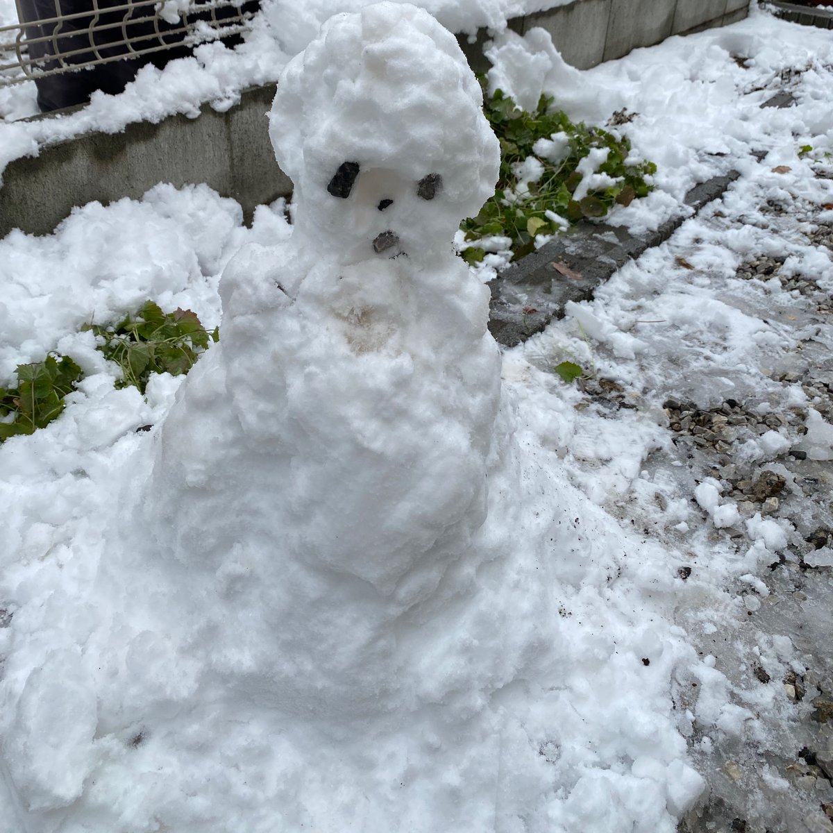 意外とすぐ固まるからきれいな丸にならなかった雪だるまくん。(娘と近所のちびっ子と作りました)心身が限界で辛すぎたんだけど、中高の仲間たちにちょっとLINEしたら回復した。持つべきものは友達、大人になるほどそう思う。
