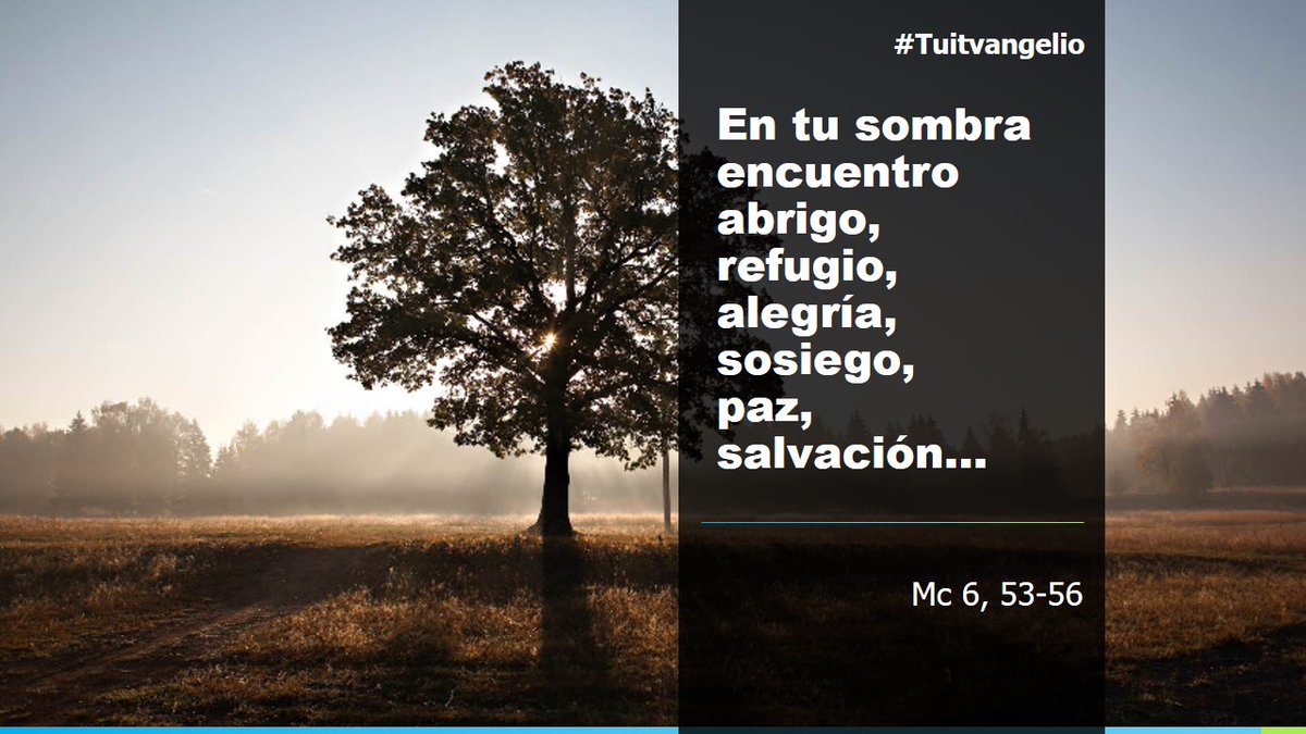 scarRomano's tweet photo. #9DeFebrero
#Mc6,53-56
#Tuitvangelio
#EvangelioDelDía https://t.co/KbqsWnyB7p