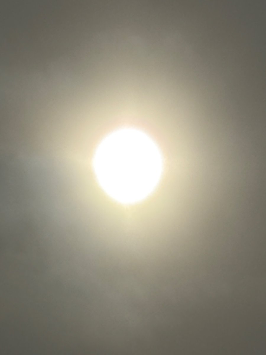 Love__Infinity's tweet image. 横浜は午前中雪でしたが❄️☃️
午後投票して来ました！

まだ投票所開いてます。
一緒に戦争止めましょう！

途中こんな景色が応援してくれました♪

#ママ戦争止めてくるわ