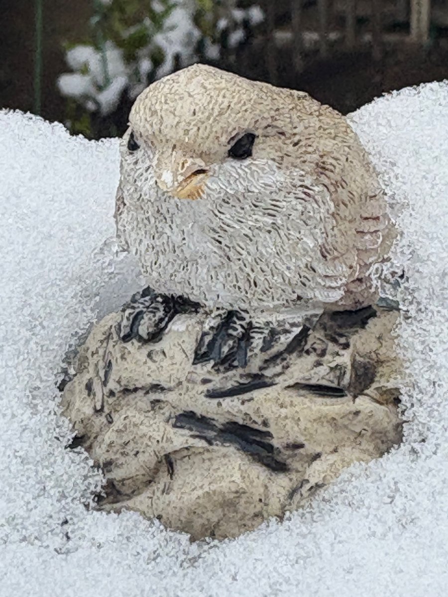 Love__Infinity's tweet image. 横浜は午前中雪でしたが❄️☃️
午後投票して来ました！

まだ投票所開いてます。
一緒に戦争止めましょう！

途中こんな景色が応援してくれました♪

#ママ戦争止めてくるわ