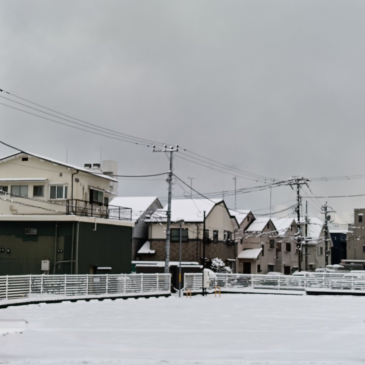 小田原市12年ぶりに雪が積もる。今日の衆院選投票率は前回より６ポイント下がる。期日前を含めば前回並。（午後５時現在）