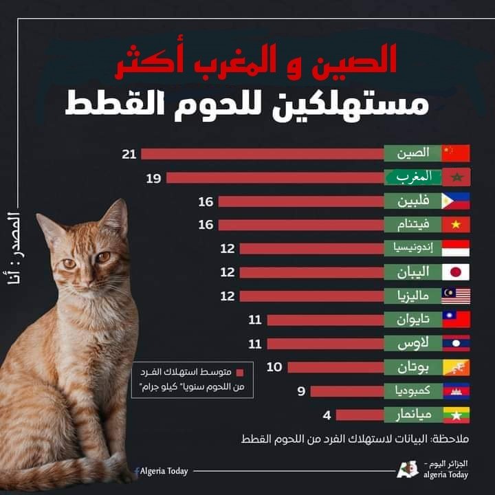 usmiste193716's tweet photo. المغرب ضمن الدول الأكثر إستهلاكا لحوم القطط #لحوم_القطط #المغرب https://t.co/5XHaL5u6HB