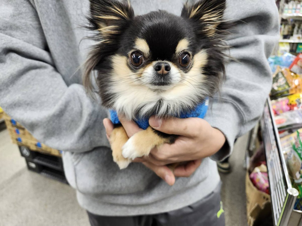 ポコくん💕
ご来店ありがとうございました☺️