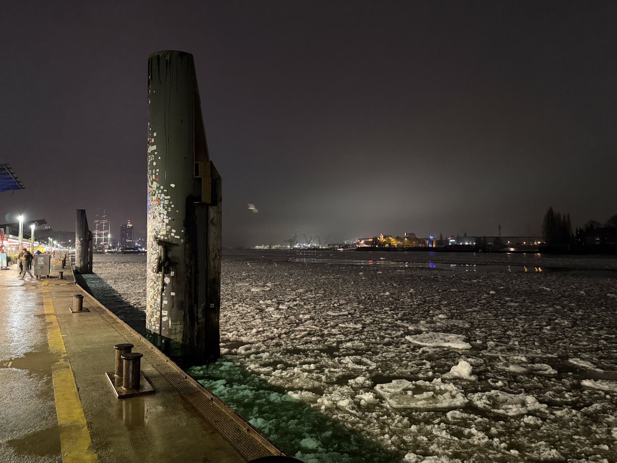 TaniDaReal tweet media