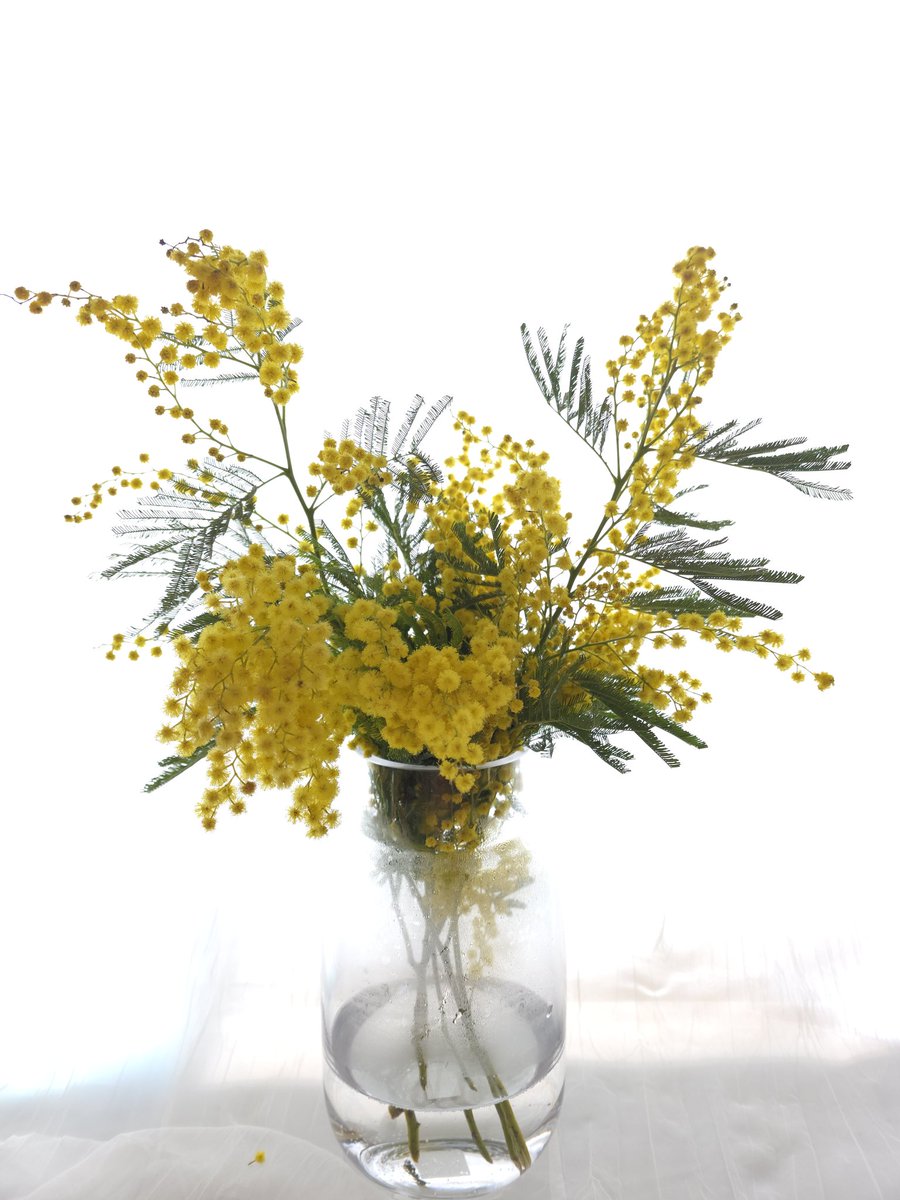 설 연휴 전 마지막 배송은 2월 11일 수요일입니다.

설 연휴 꽃과 함께 하세요!!

mkt.shopping.naver.com/link/6814a0786…

#라스텔라꽃