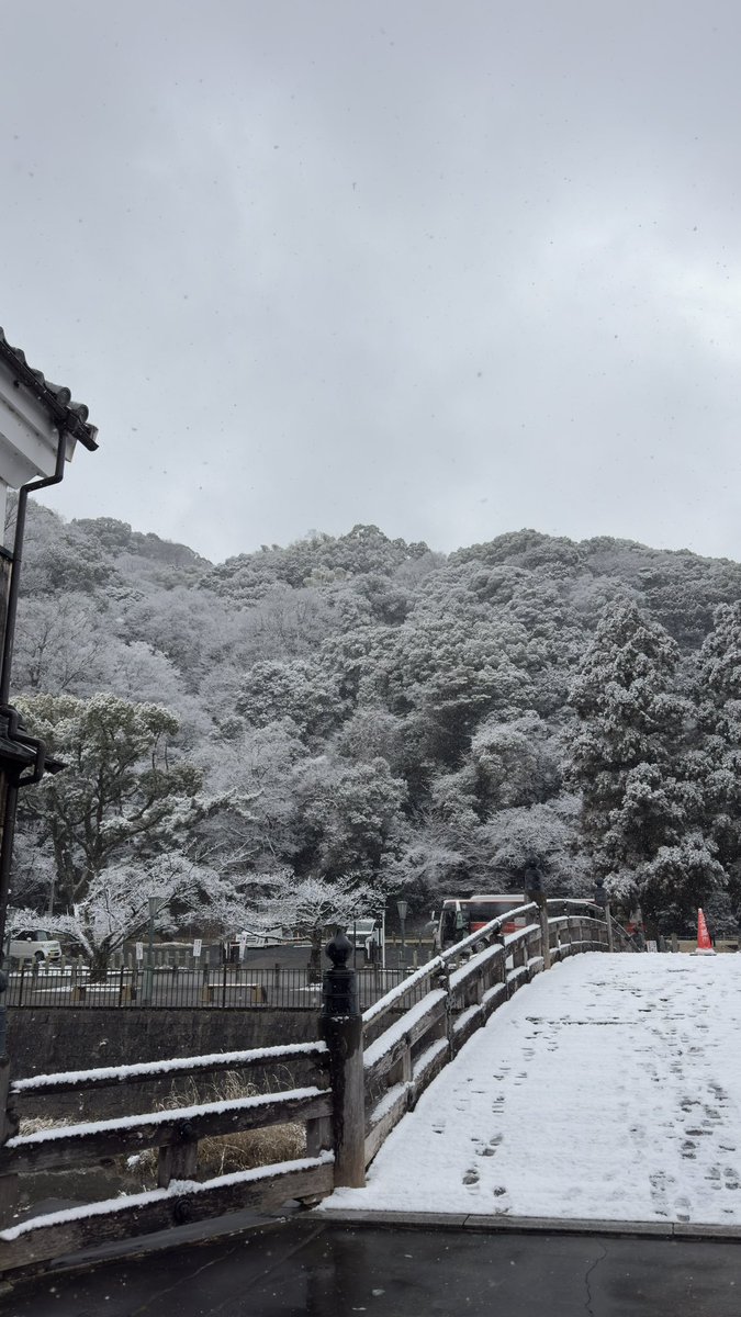 朝一に投票行ってきたんだけど
期日前投票より当日の方が投票までの手続きが楽なんだよな