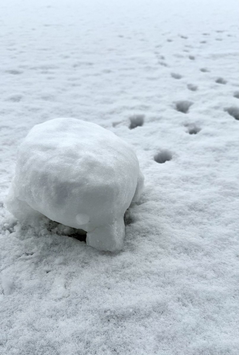 あおち🐟🎂 tweet media