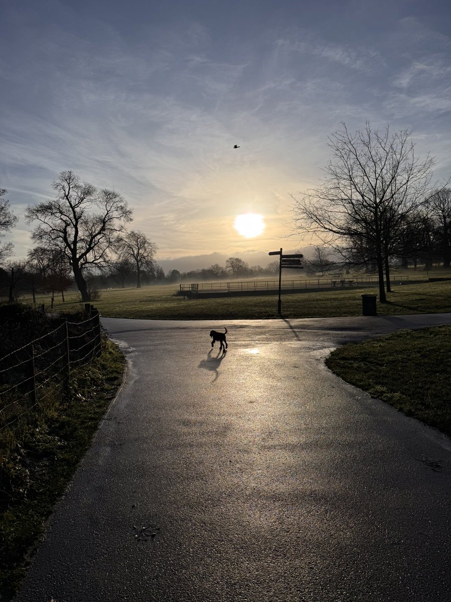 The Cassandra Centre tweet media