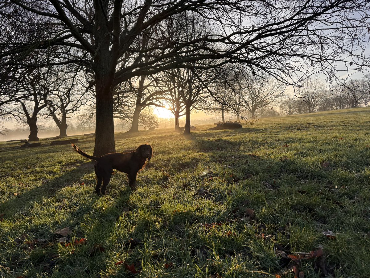 The Cassandra Centre tweet media