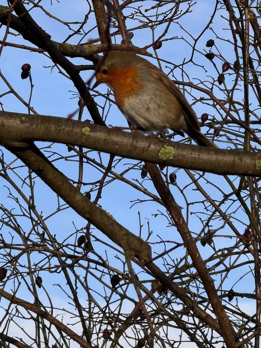 The Cassandra Centre tweet media