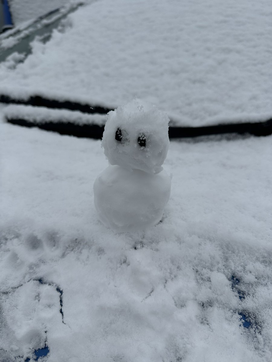 今日は珍しく積もって嬉しくなったので ミニ雪だるま作成⛄️ #カー