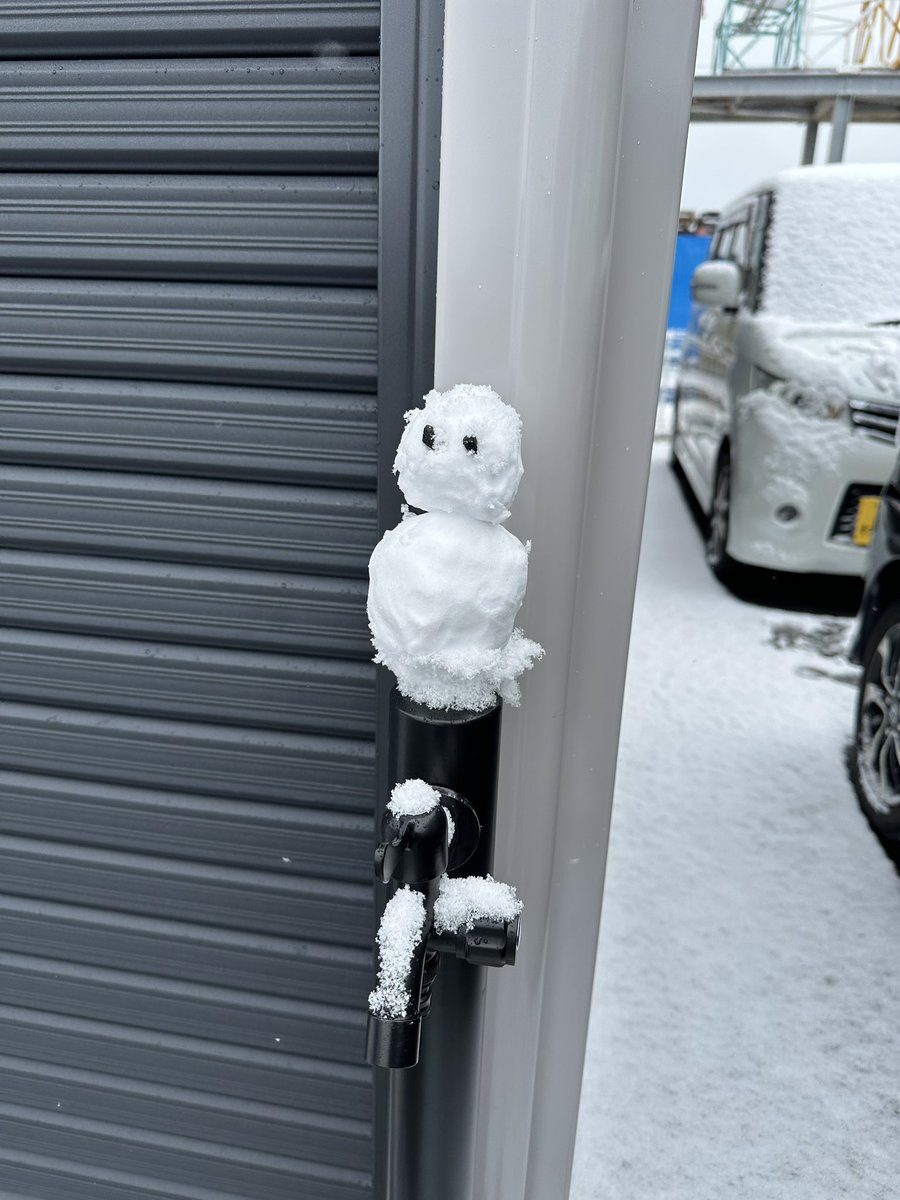 今日は珍しく積もって嬉しくなったので ミニ雪だるま作成⛄️ #カー