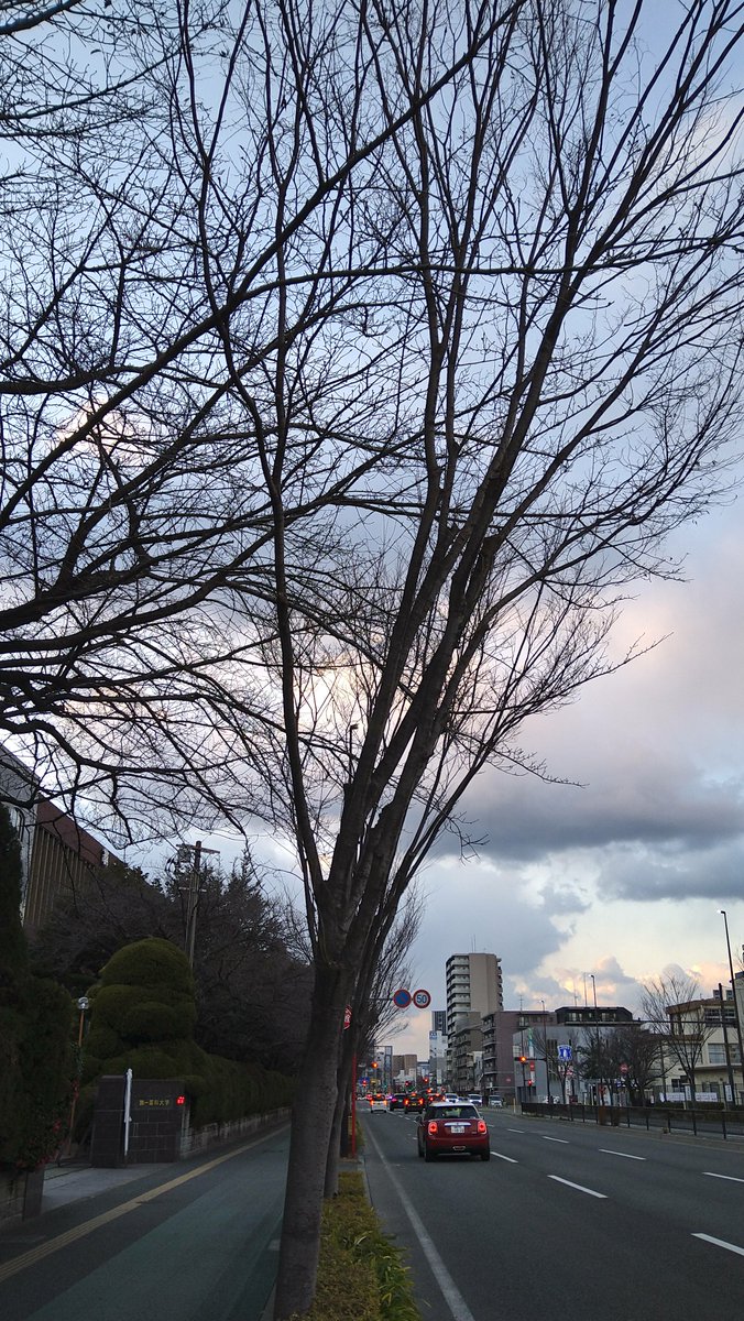 投票完了。
バリ寒ド冬♥
けど随分と体が耐えれんくなってきてもーたw
雪の中でも半袖半ズボンだったのに小学生のワシ。