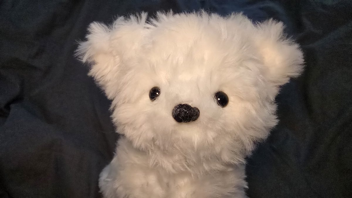 박중호 tweet media