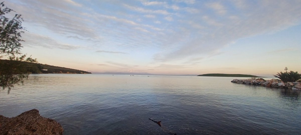 Panayiotis G Dimitrakopoulos tweet media